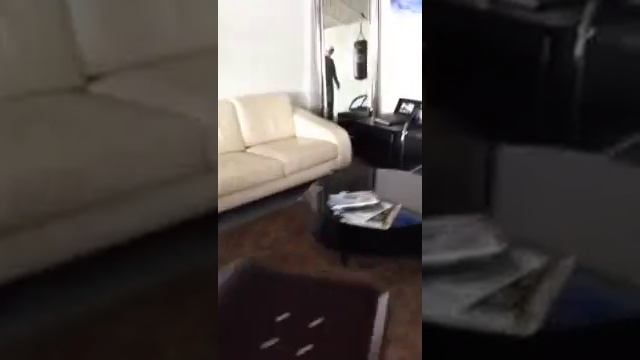 Seagull crashes evolve digital media's offices! смотреть онлайн