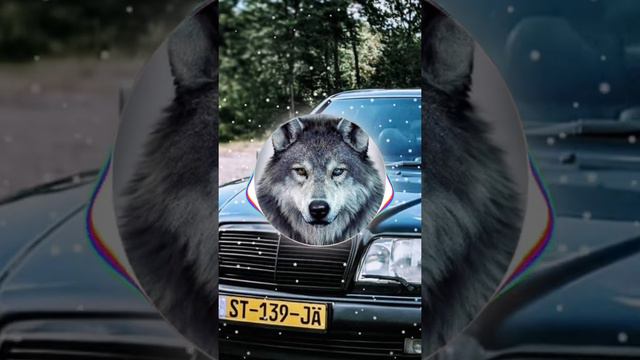 Mercedes-Benz w124 e500 Relaxing music time✌🏼#music #relaxing #time #tiktok #sigma #subscribe #mb смотреть онлайн