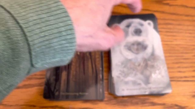 Witches Take Control with W.I.T.C.H. Oracle Deck смотреть онлайн