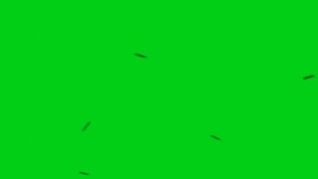 GREEN SCREEN Flies fly Effects footage video | chroma key flies effects animation | by Crazy Editor смотреть онлайн