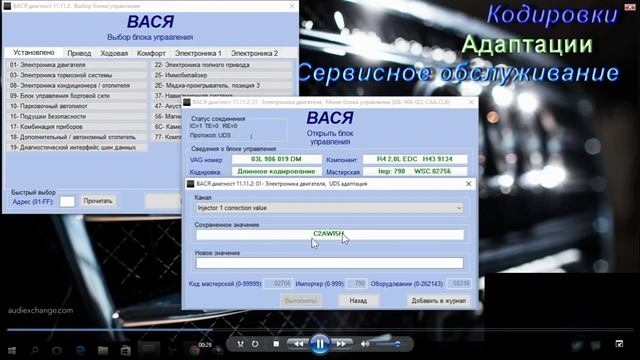 Как адаптировать новые пъезофорсунки   CR TDI в Вася Диагност. AkerMehanik