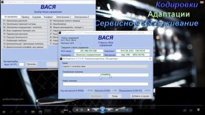 Как адаптировать новые пъезофорсунки   CR TDI в Вася Диагност. AkerMehanik