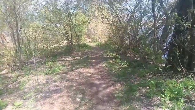 Квартира Дача Коллаж 1 шашлычка смотреть онлайн