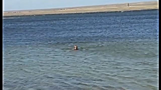 Крым. Новоозерное. Пошли купаться в море. смотреть онлайн