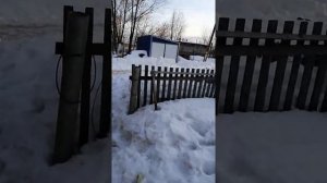 ХАСАН 125 НТ. СТРЕЛЬБА ПУЛЕЙ Rabbit Magnum ll.