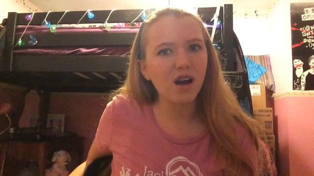 Cedar Point Ferris Wheel Fail || Samantha Rae смотреть онлайн