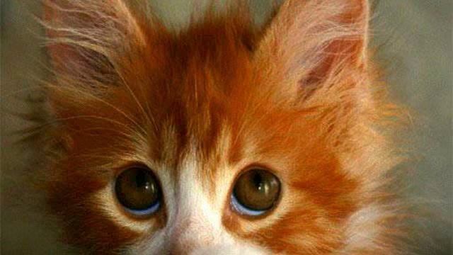 Музыка самого высокого качества. Просто супер! Тащусь! смотреть онлайн