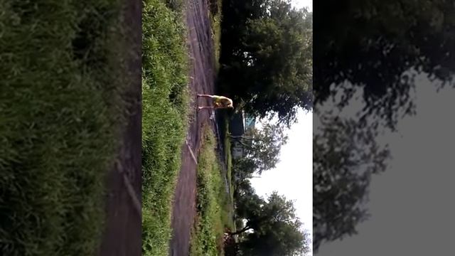 Ветродуй "ДИЛ" смотреть онлайн