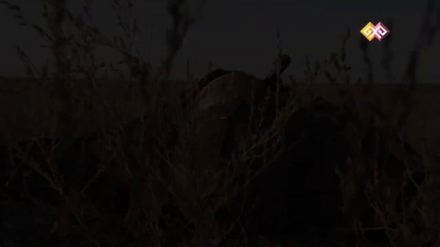 Тюркский мир. Великий тюркский каганат смотреть онлайн