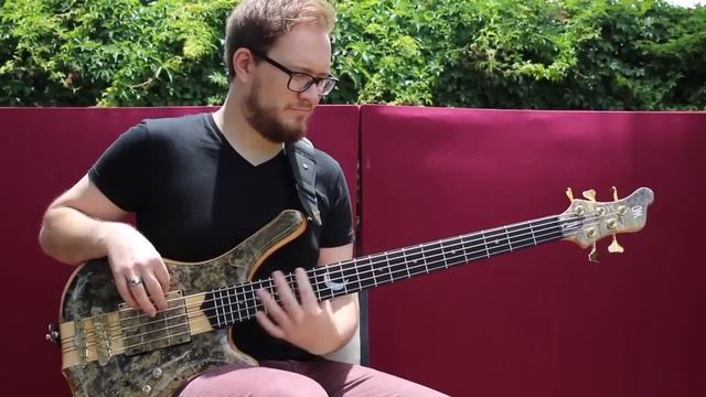 Voyager - The Domination Game Bass Playthrough смотреть онлайн