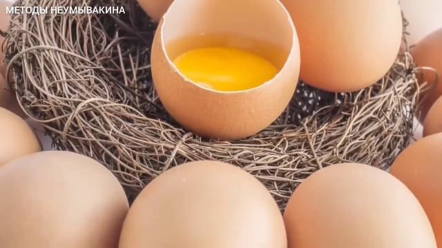 Первый раз Пробую готовить и кушать ЯЙЦА как ВРАЧИ, вот что ПРОИЗОШЛО с моим ОРГАНИЗМОМ... #польза смотреть онлайн