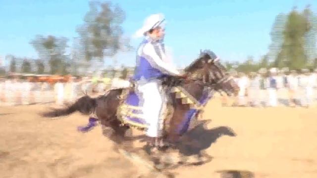 Top Best Horse Riders | Horse Riding Skills | Horse Riding Information | Tent Pegging 2017.