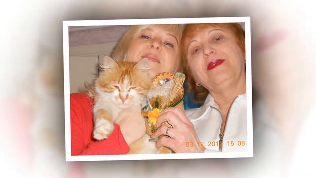 Тетеньку с ДНЕМ РОЖДЕНИЯ смотреть онлайн