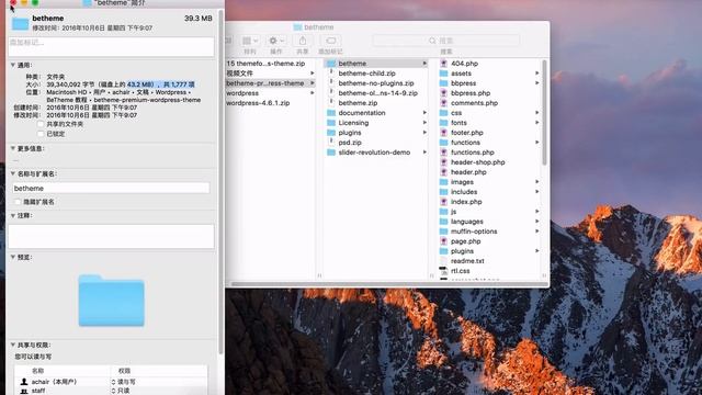 BeTheme主题教程：准备 WordPress 和主题文件包 смотреть онлайн