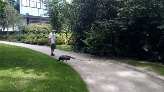 Йевер #фрисландия #германия смотреть онлайн