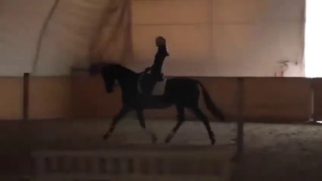 Лошади КСК Кудряшовский смотреть онлайн