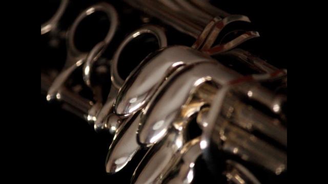 Overhaul Selmer Eb piccolo clarinet Riparazione sax clarinetto flauto ottavino Bergamo смотреть онлайн