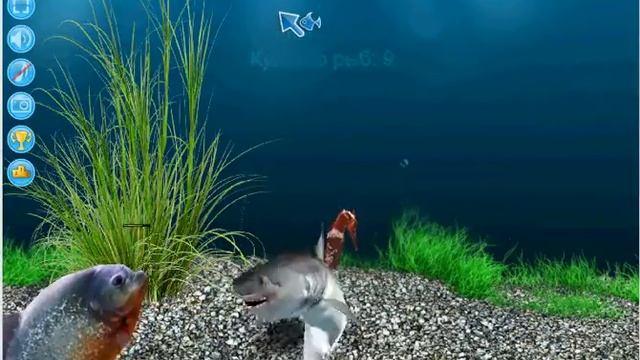3D аквариум Кормление хищников смотреть онлайн