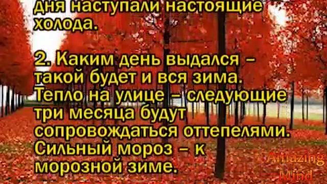 Народные приметы на 24 ноября 2020 года смотреть онлайн