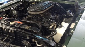 REAL 1968 Ford Mustang Shelby GT350