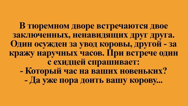 Смешные анекдоты для хорошего настроения Ч.5.!:) смотреть онлайн