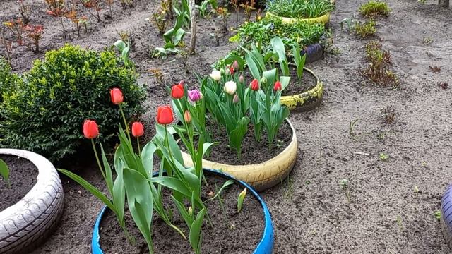 Северодонецк 22.04.2022 ( Обстановка военная... ) смотреть онлайн