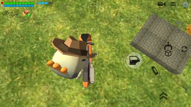 Сонник в Чикен Гане