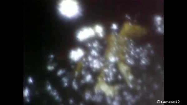 Состояние поршней после раскоксовки mitsubishi shuma_2