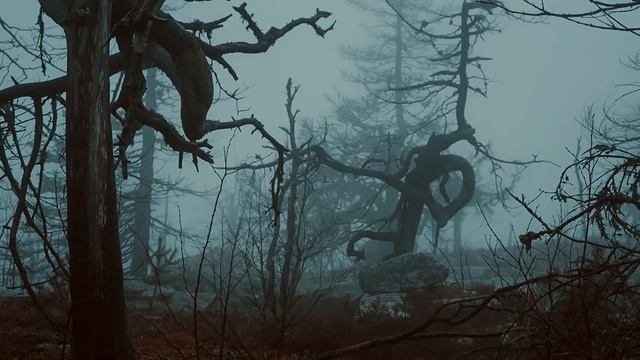 The spirit of Vottovaara смотреть онлайн