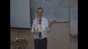 Флексионный тест стоя