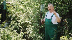 ЕЖЕВИКА БЕЗ ШИПОВ? ТАКОЕ БЫВАЕТ!