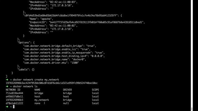 Docker Tutorial #6 - Wie füge ich in Docker einen Container zu einem virtuellen Netzwerk hinzu? смотреть онлайн