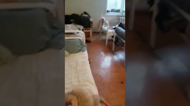 ЖЕСТЬ! Ужасные условия содержания больных ковид лечгородок инфекционка Тирасполь ПМР Приднестровье смотреть онлайн