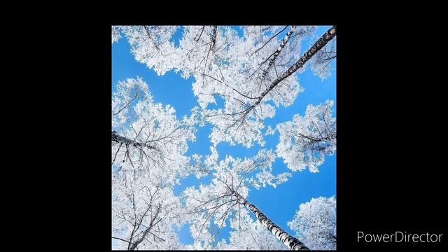 18 января народный праздник КРЕЩЕНСКИЙ СОЧЕЛЬНИК. Что можно и нельзя делать в Крещенский Сочельник смотреть онлайн