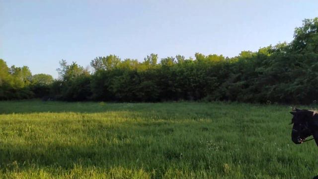 Всадники Алхан-юрта 12.05.2020(1) смотреть онлайн