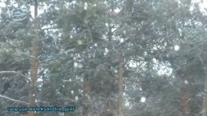 Зимушка Зима