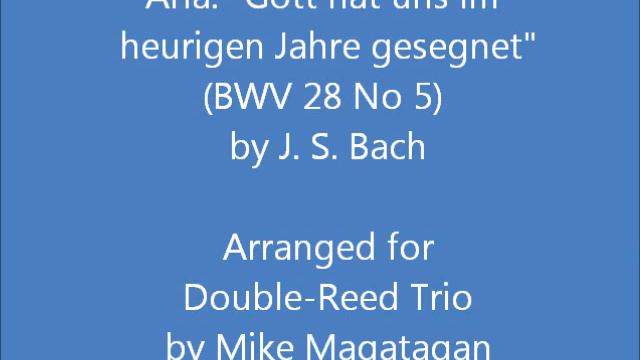 Aria: "Gott hat uns im heurigen Jahre gesegnet" (BWV 28 No 5) for Double-Reed Trio смотреть онлайн