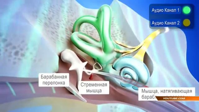 Современная технология восстановления речи станет доступна жителям Урая смотреть онлайн