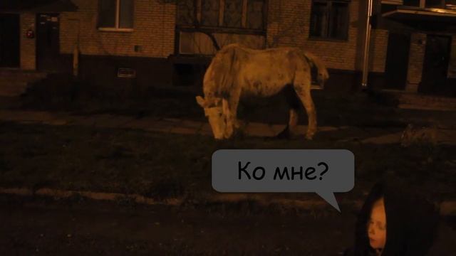 Не перевелись еще принцы!The princes are still there! #принцнабеломконе #prince