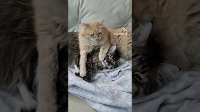 Зимой теплее вместе