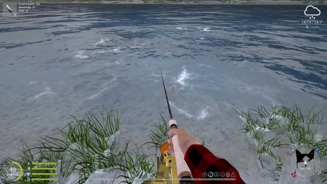 Russian Fishing 4 - Yama River, Trophy Levanidov's Char смотреть онлайн