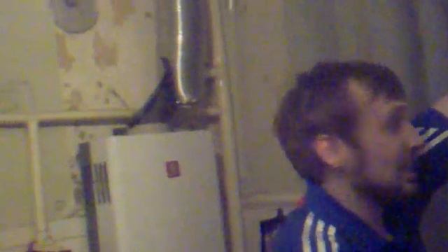 Это голубь. Сейчас он будет летать! смотреть онлайн