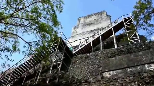 Tikal Peten Guatemala // Adventure Tours GT смотреть онлайн