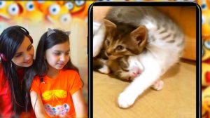 НЕ ЗАСМЕЙСЯ ЧЕЛЛЕНДЖ с КОТАМИ и Мамой #2 Попробуй не засмеяться Чуть НЕ Лопнули ОТ СМЕХА Валеришка