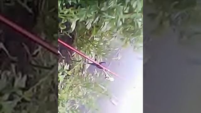 Отдых после рабочего дня смотреть онлайн