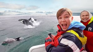 Уехали в Исландию