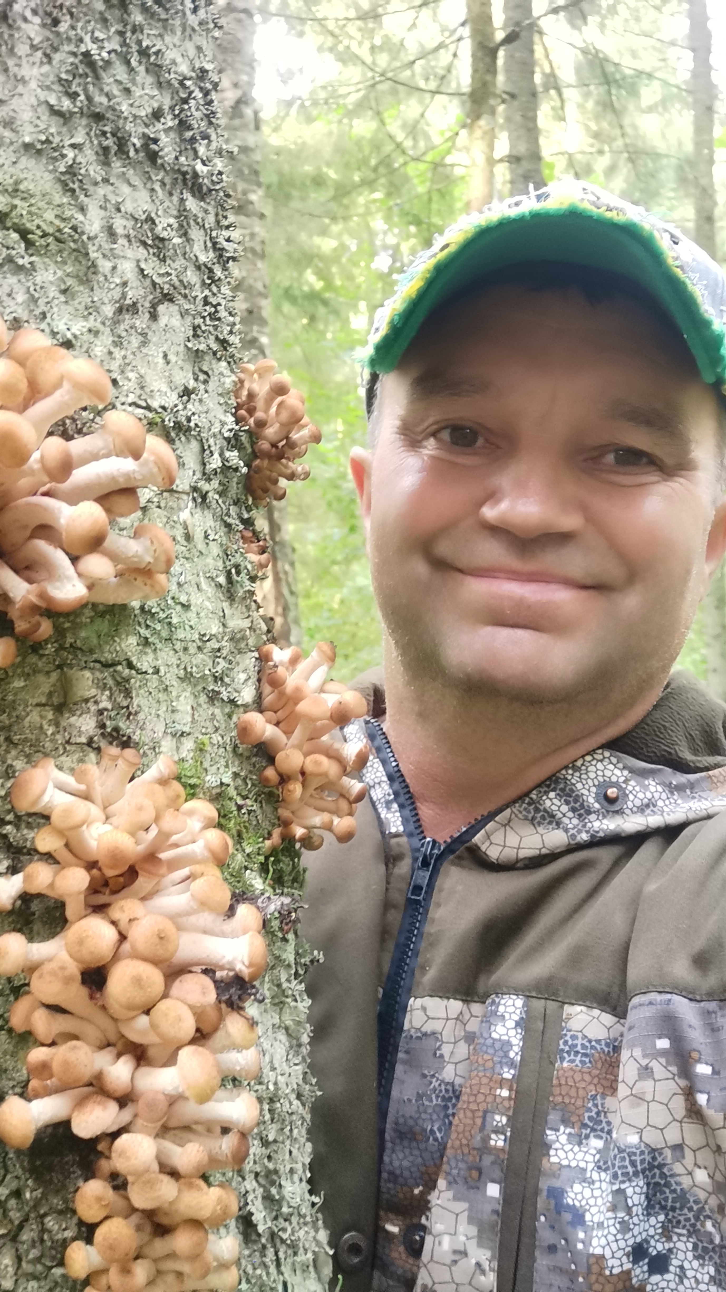 В лес за грибами смотреть онлайн