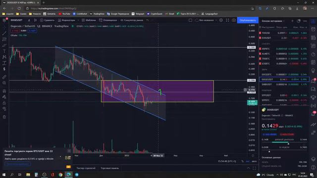 Обзор на рынок 01.02.2022. Рассмотрения BTC, DOGE, BNB