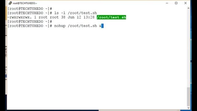 How to use "nohup" to run processes in background смотреть онлайн