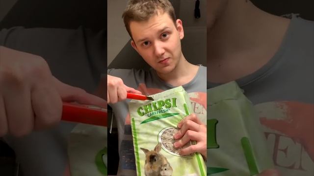 Обустраиваю террариум песчанки Хвоста смотреть онлайн